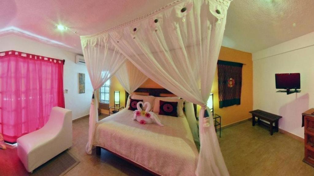 Flamingo Hotel Cozumel Eksteriør billede